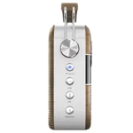 Saregama Carvaan Portable Digital Music Player (Brown) - Image 4