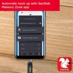 SanDisk Ultra 64GB Dual Drive Go Type C Pendrive (Black) - Image 4